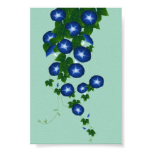 朝 顔, 青 色, Asagao, Morning glory, ondiep groen