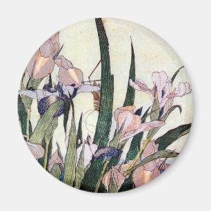 杜 若 ぎ, り, と Iris en Grasshopper, Hokuskuskusり, き I Magneet