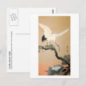 松 に 鶴, 古 Crane op Pine Tree, Koson, Ukiyo-e Briefkaart (Voorkant / Achterkant)