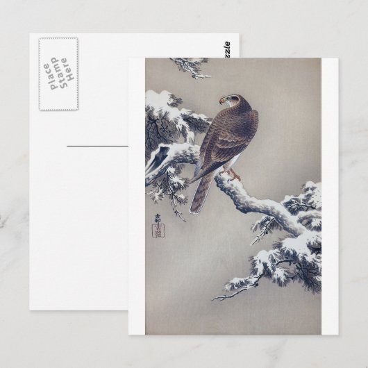 松 鷹, 古 Hawk op Pine Tree, Ohara Koson, Woodcut Briefkaart (Voorkant / Achterkant)