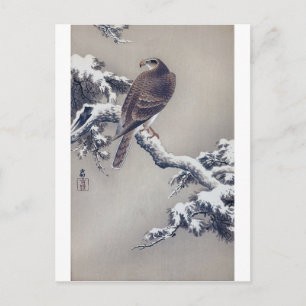 松 鷹, 古 Hawk op Pine Tree, Ohara Koson, Woodcut Briefkaart