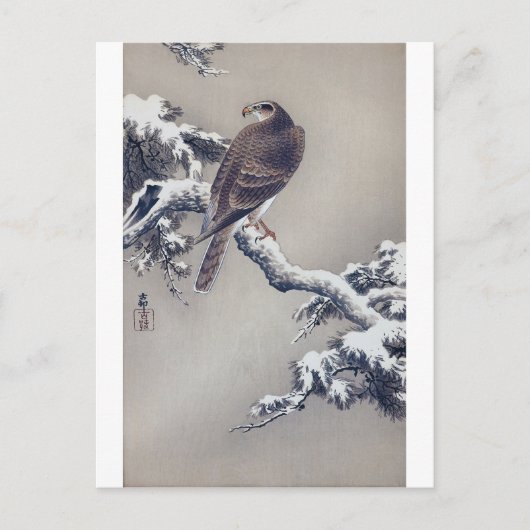 松 鷹, 古 Hawk op Pine Tree, Ohara Koson, Woodcut Briefkaart (Voorkant)