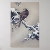 松 鷹, 古 Hawk op Pine Tree, Ohara Koson, Woodcut Poster (Voorkant)