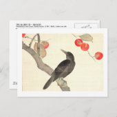 柿 に 烏, 抱 Persimmon en Crow, Hōitsu Briefkaart (Voorkant / Achterkant)