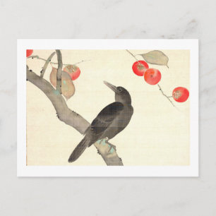 柿 に 烏, 抱 Persimmon en Crow, Hōitsu Briefkaart