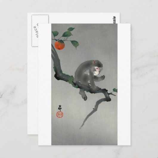 柿 に 猿, 古 aap op Persimmon-boom, Ohara Koson Briefkaart (Voorkant / Achterkant)