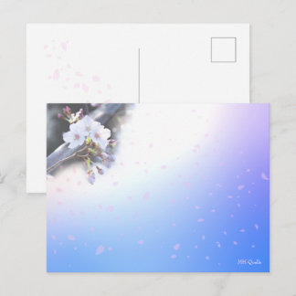 桜のシーズンポストカード  BRIEFKAART