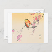 桜 に 鳥, 小 邨 Bird & Cherry Blossom, Ohara Koson Briefkaart (Voorkant / Achterkant)