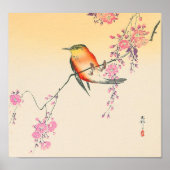 桜 に 鳥, 小 邨 Bird & Cherry Blossom, Ohara Koson Poster (Voorkant)