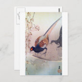 桜 キ ジ, 古 Pheasant en Cherry Blossom, Ohara Koson Briefkaart (Voorkant / Achterkant)