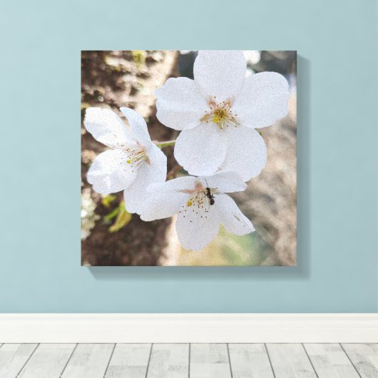 桜 Cherry Blossom Close-Up Photography Canvas Afdruk (Insitu (Houten vloer))