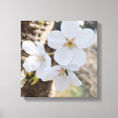 桜 Cherry Blossom Close-Up Photography Canvas Afdruk (Voorkant)