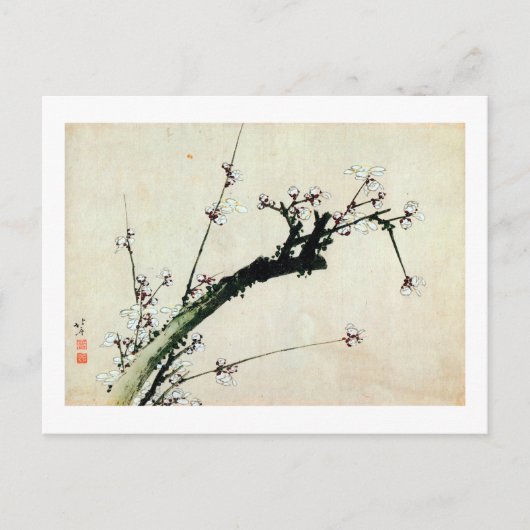 梅花, 北斎 de Bloesems van de Pruim, Hokusai, ukiyo-E Briefkaart (Voorkant)