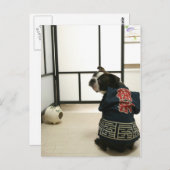 棟 Briefkaarten (Voorkant / Achterkant)