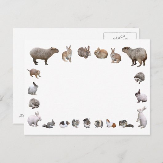 様 々 小 動 物 BRIEFKAART (Voorkant / Achterkant)