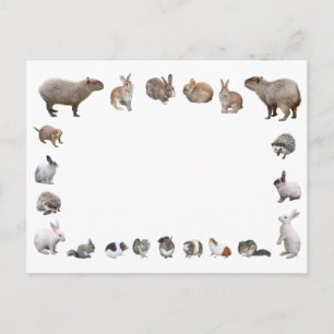 様 々 小 動 物 BRIEFKAART