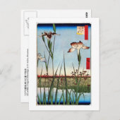 江 の 蒲, 広 Iris van Edo, Hiroshige Briefkaart (Voorkant / Achterkant)