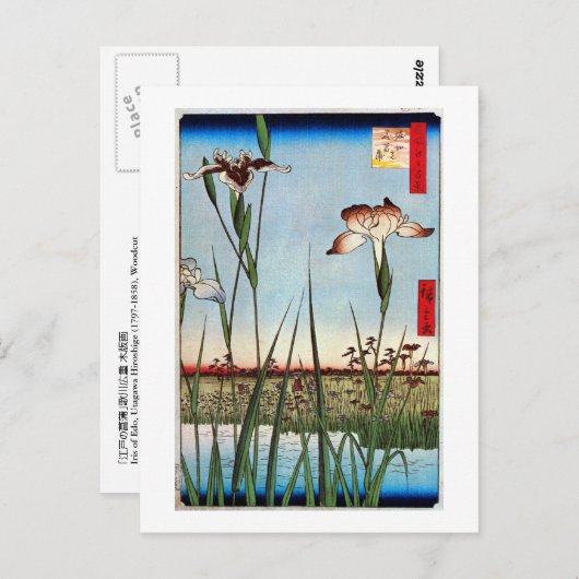 江 の 蒲, 広 Iris van Edo, Hiroshige Briefkaart (Voorkant / Achterkant)