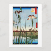 江 の 蒲, 広 Iris van Edo, Hiroshige Briefkaart (Voorkant)