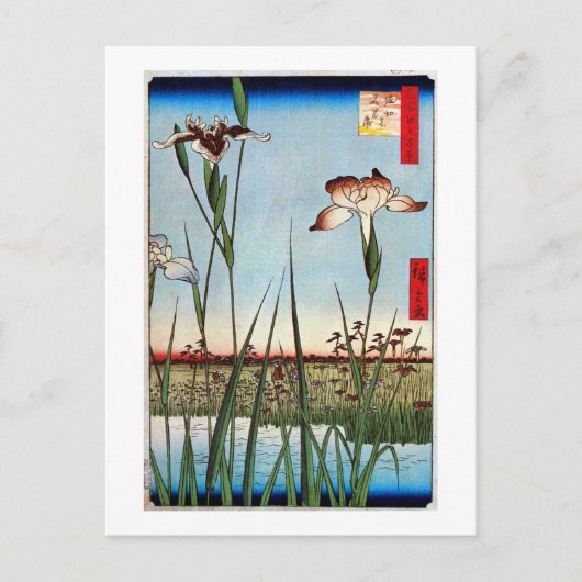 江 の 蒲, 広 Iris van Edo, Hiroshige Briefkaart (Voorkant)