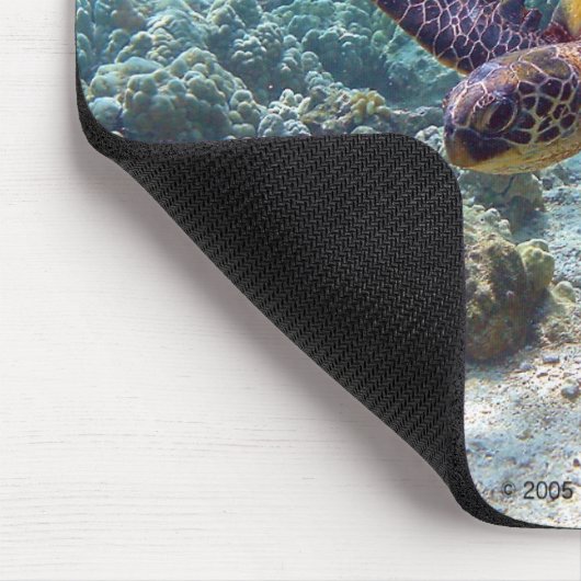 海亀 MUISMAT (Hoek)