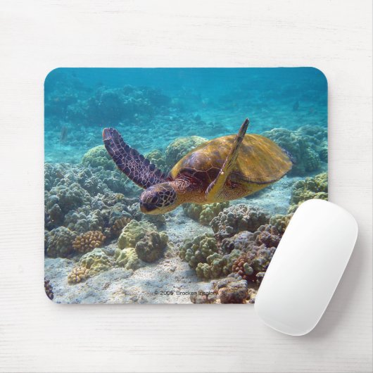 海亀 MUISMAT (Met muis)