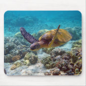 海亀 MUISMAT (Voorkant)