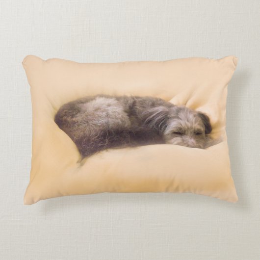犬の眠り(アクセントクッション) ACCENT KUSSEN (Voorkant)