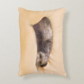 犬の眠り(アクセントクッション) ACCENT KUSSEN (Voorkant(Verticaal))