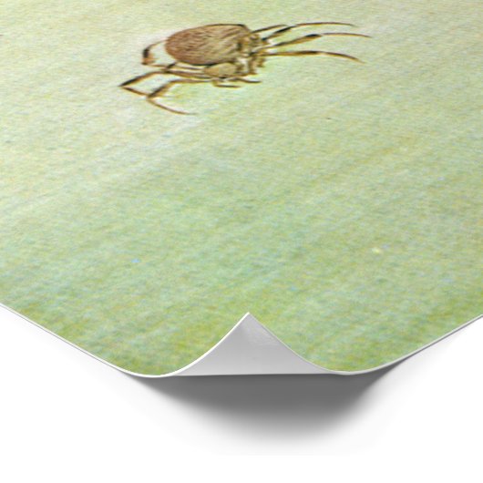 猫 と 蛛, 東 皐 Cat en Spider, Tōkō Poster (Hoek)