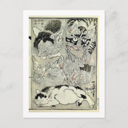 猫, 暁 斎 Cats, Kyōsai, Ukiyo-e Briefkaart (Voorkant)