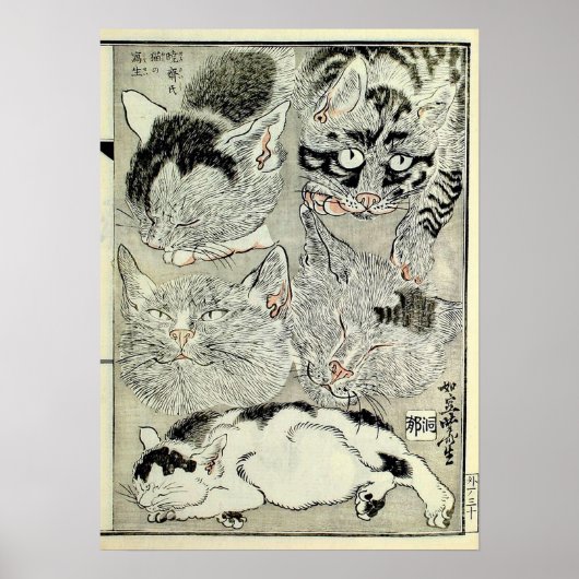 猫, 暁 斎 Cats, Kyōsai, Ukiyo-e Poster (Voorkant)
