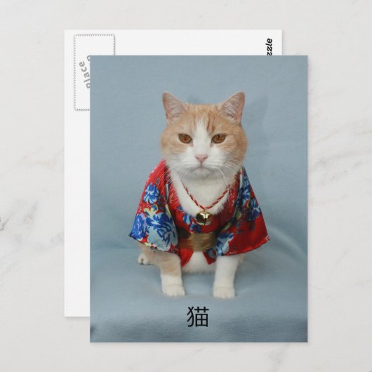 猫 BRIEFKAART (Voorkant / Achterkant)