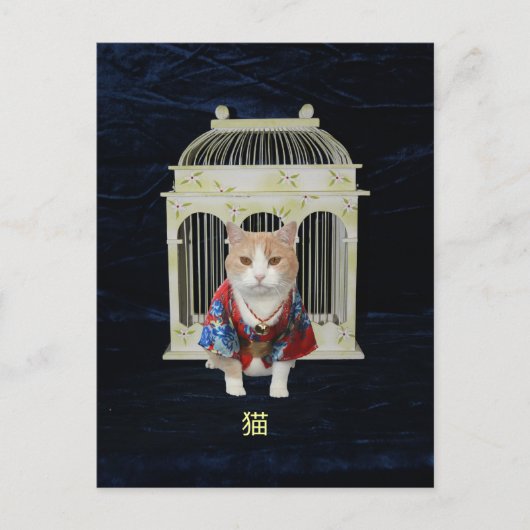 猫 Lucky Cat Briefkaart (Voorkant)