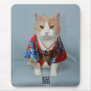 猫 MUISMAT