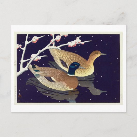真 鴨, Mallard Ducks, Hasui Kawase, Woodcut Briefkaart (Voorkant)
