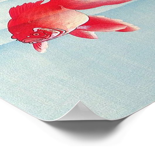 睡 と 魚, 古 riddervis en goudvis, Ohara Koson Poster (Hoek)