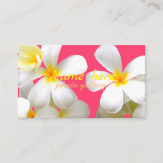 米スタンダード 8.89cm x 5.08cm名刺 名刺 visitekaartje