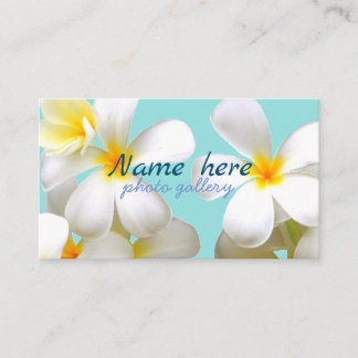 米スタンダード 8.89cm x 5.08cm名刺 名刺 visitekaartje