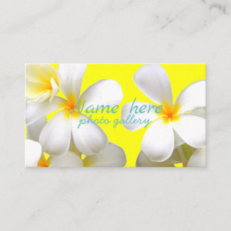 米スタンダード 8.89cm x 5.08cm名刺 visitekaartje