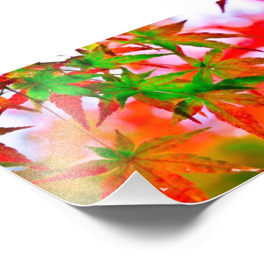 紅葉 FOTO AFDRUK (Hoek)