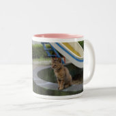 美形のキジトラ猫の女の子 TWEEKLEURIGE KOFFIEMOK (Voorkant rechts)