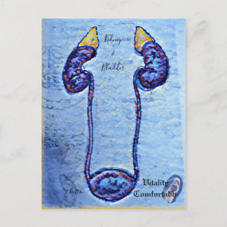 腎臓と膀胱のカラフルなデザイン BRIEFKAART