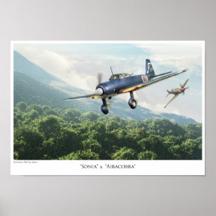 航 空 ス "芸Ki-ポ1B" met "術タ"ー" Poster