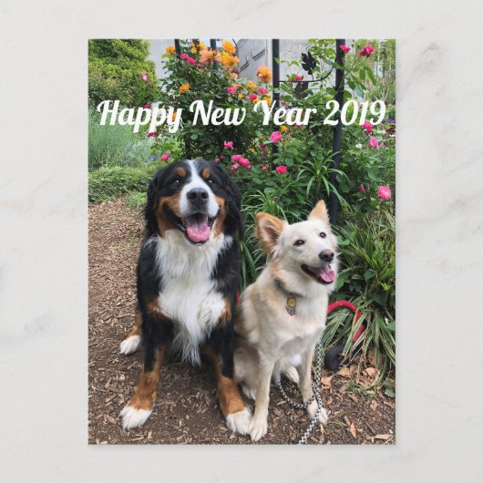 花 の 賀 状2019 BRIEFKAART (Voorkant)