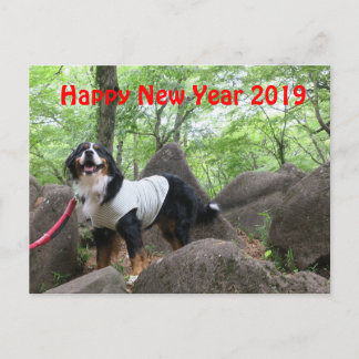 花 音2019年 状 BRIEFKAART