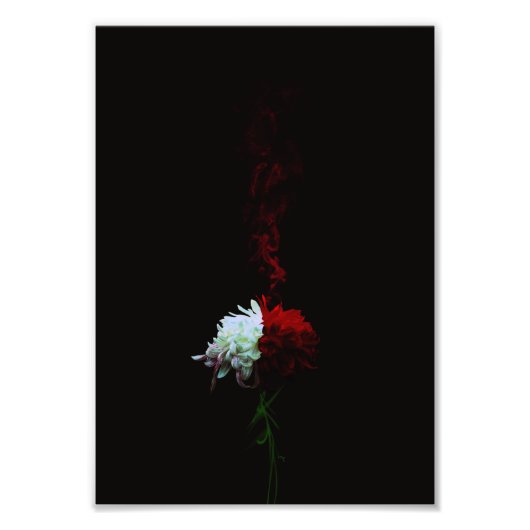 菊一凛-Chrysanthemum- Foto Afdruk (Voorkant)