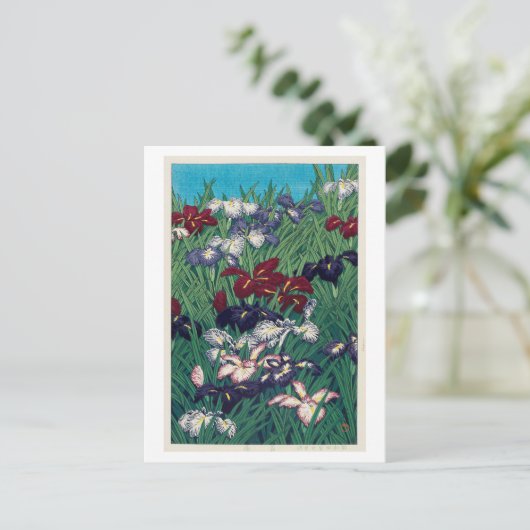 菖蒲, Iris, Hasui Kawase, Houtdruk Briefkaart (Staand voorkant)