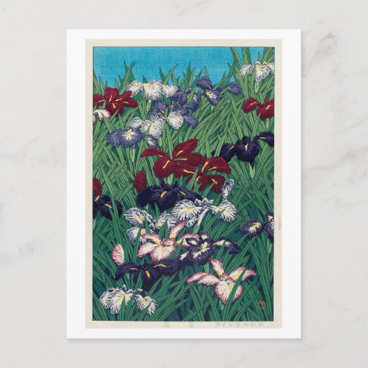 菖蒲, Iris, Hasui Kawase, Houtdruk Briefkaart (Voorkant)