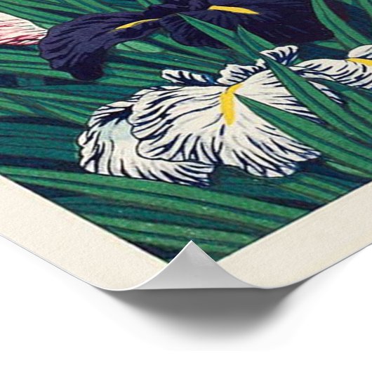 菖 蒲, Iris, Hasui Kawase, Woodcut Poster (Hoek)